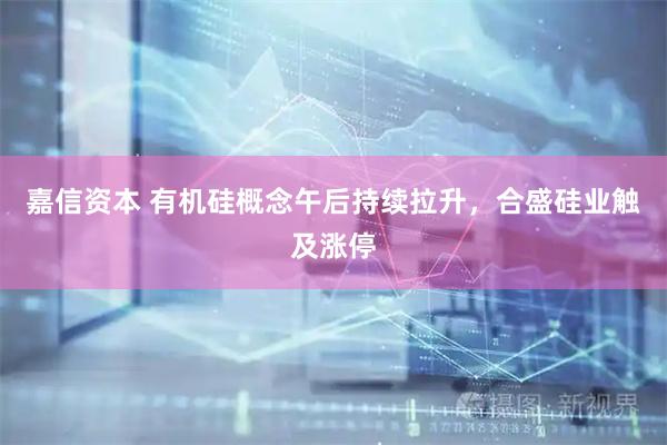 嘉信资本 有机硅概念午后持续拉升，合盛硅业触及涨停