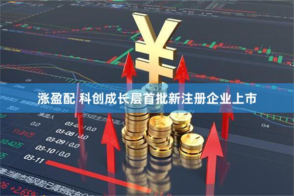 涨盈配 科创成长层首批新注册企业上市