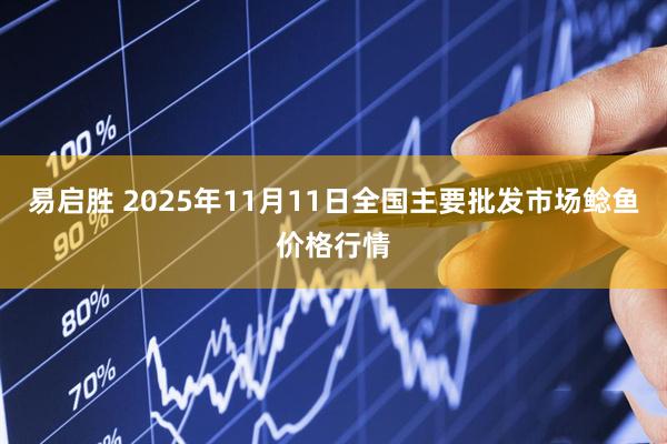 易启胜 2025年11月11日全国主要批发市场鲶鱼价格行情