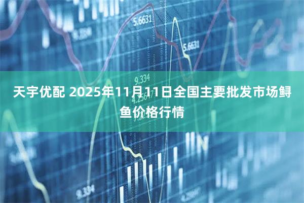 天宇优配 2025年11月11日全国主要批发市场鲟鱼价格行情
