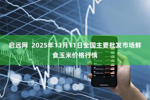 启远网  2025年11月11日全国主要批发市场鲜食玉米价格行情
